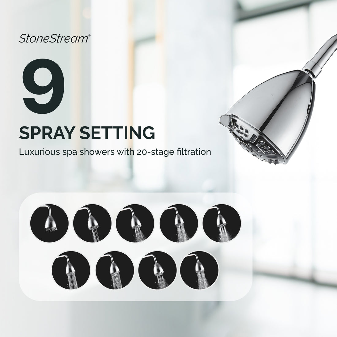 Filtración de 20 etapas Multi-Mode Ecolux Wall Shower Shower